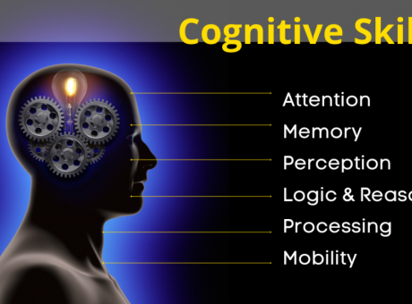 What Cognitive Skills Separate Top Performers in Law School Admissions?